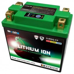 Batterie SKYRICH Lithium Ion HJB9Q-FP