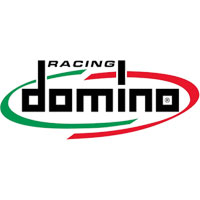 DOMINO-logo.jpg