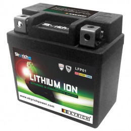 Batterie SKYRICH Lithium Ion LTKTM04L