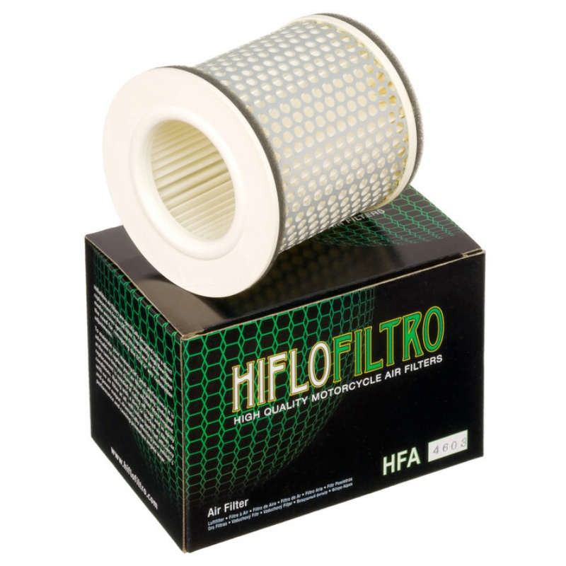 Filtre à air HIFLOFILTRO HFA4603