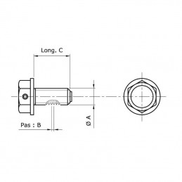 Bouchon de vidange M10x1,25x14mm