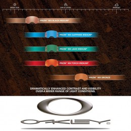 Ecran OAKLEY AIRBRAKE MX PRIZM Sapphire Iridium