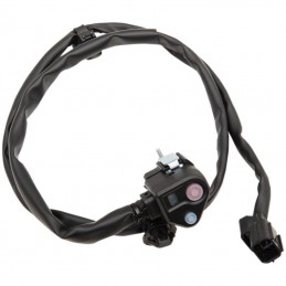 Bouton de masse 250 CRF