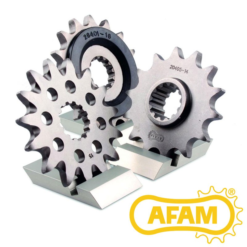 Pignon AFAM 450 DS Pignon AFAM 450 DS