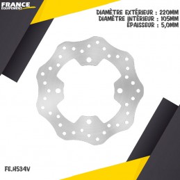 Disque de frein arrière FE-BRAKES 650 XR