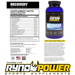 Recovery RYNO Power