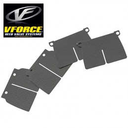 Clapets de rechange V-FORCE2 125 EN