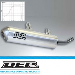 Silencieux DEP GASGAS 200 EC