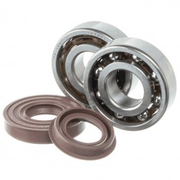 Kit roulements et joints spis de vilebrequin KTM 200 EXC