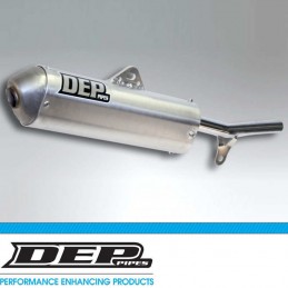 Silencieux DEP 125 DTR-E