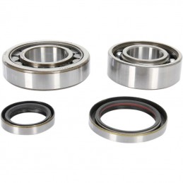 Kit roulements et joints de vilebrequin YAMAHA 250 YZF