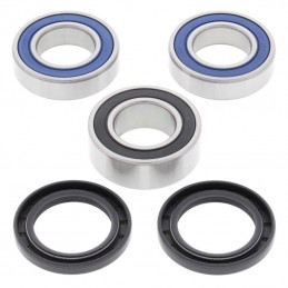 Kit roulements de roue arrière SHERCO 300 SE-R