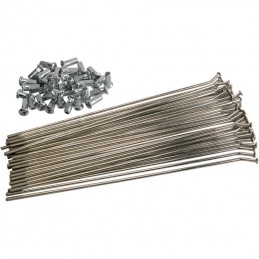 Kit rayons inox BETA 300 RR 2Tps