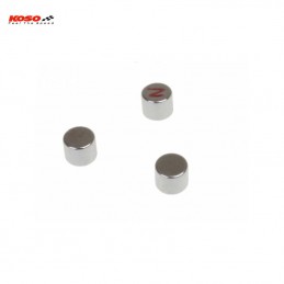 Aaimants de rechange KOSO Ø6 x 5mm