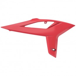 Ouies de radiateur BETA 300 RR