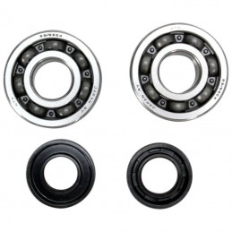 Kit roulements et joints de vilebrequin BETA 300 RR 2Tps