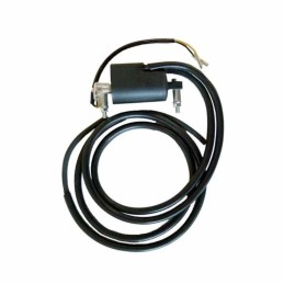 Bobine haute tension SUZUKI
