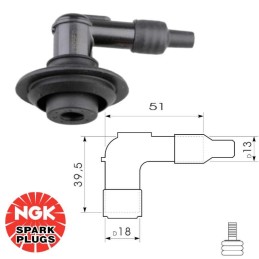 Antiparasite NGK LB05FG