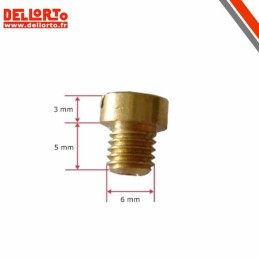 Gicleur 6mm DELLORTO PHVA et PHBN