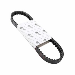 Courroie transmission 50 ZIP