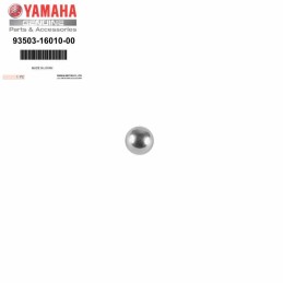 Bille de commande d'embrayage AM6