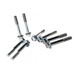 Sachet de 25 vis type origine diamètre 6mm